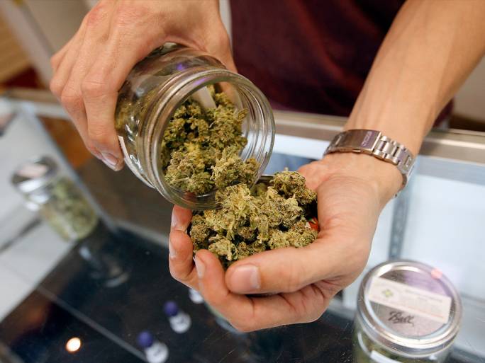 Should Cannabis be Legalized?