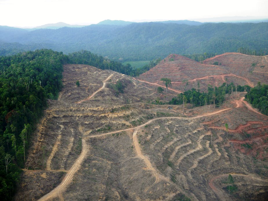 Can we create Healthy Economies without growth?