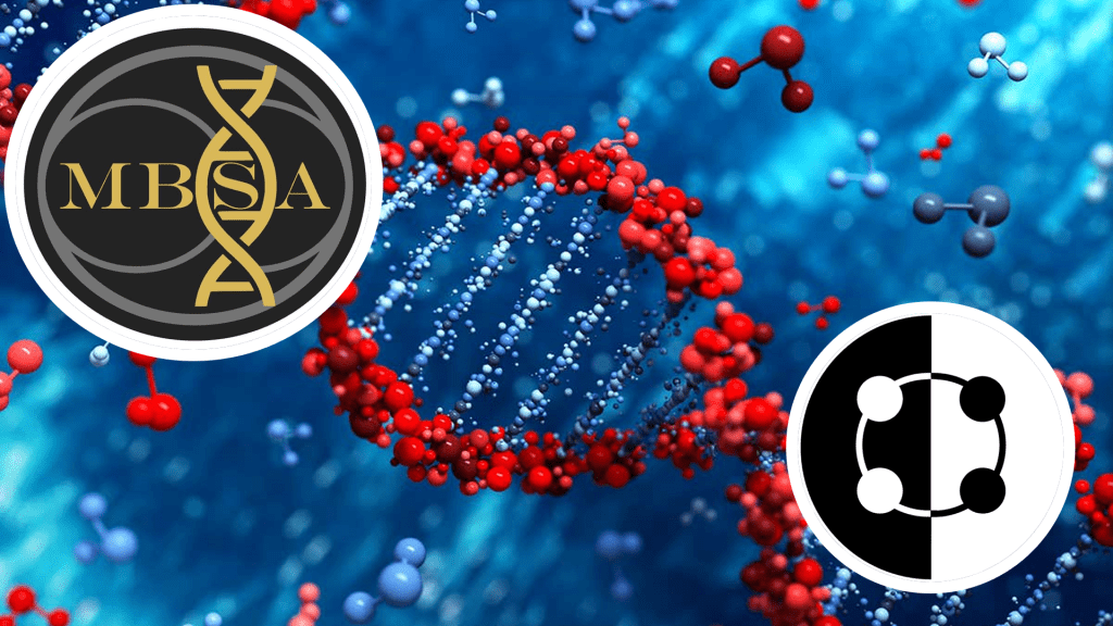 MBSA joins BEV Organisation Area