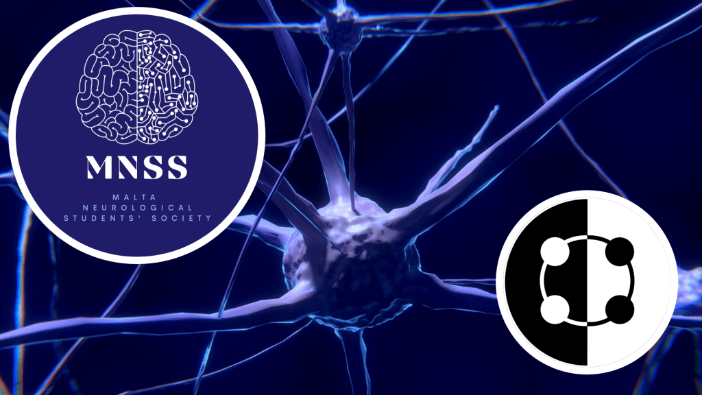 MNSS joins BEV Organisation&nbsp;Area