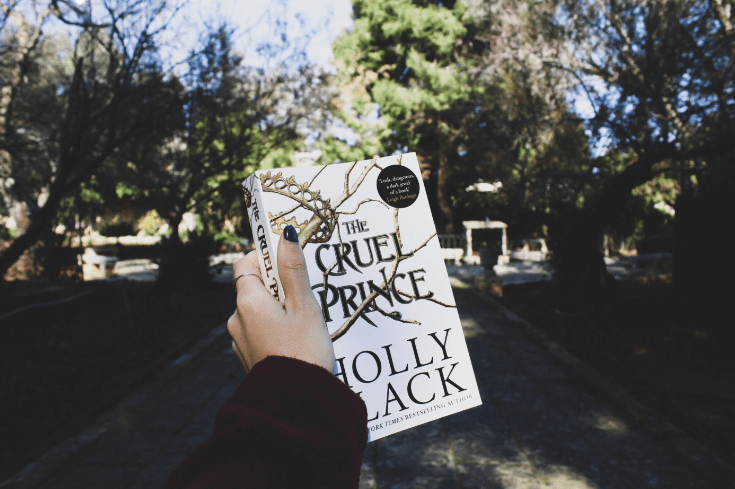 The Cruel Prince – Holly Black