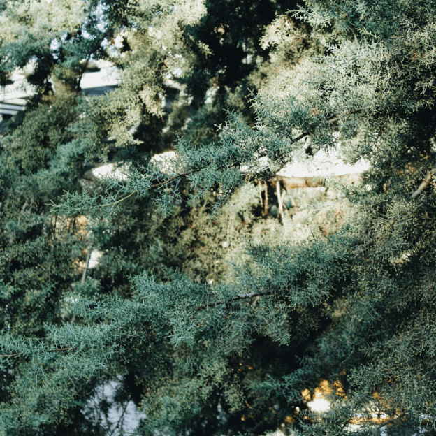 The Hardships and Possibilities of COVID-19 – Thoughts & Reflections