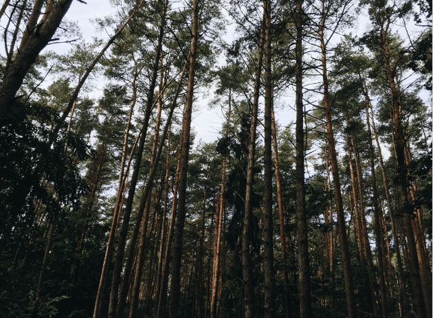 Criticism and Cruelty: Society’s Opinions and Entitlements