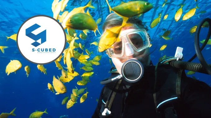 Meet the turtles you want to save!