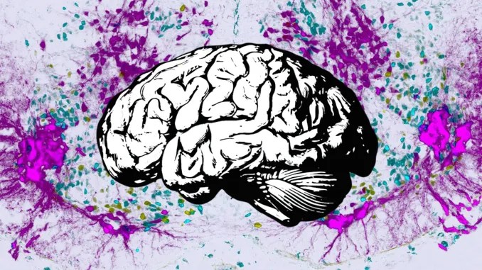 Brain Awareness: The Science Behind Detecting Brain Diseases