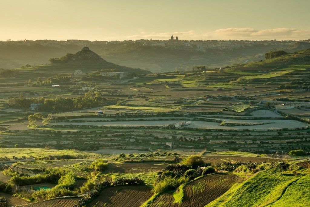 Photo: Charles Mifsud, Gozo landscape